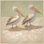 Two Pelicans Painting