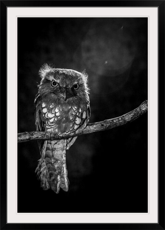 «Alone in the Night» de Straub, reproduction de photo, H 32 po x l 24 po x P 1 po, Cadre noir