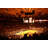 Madison Square Garden