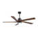 Athanafis Ceiling Fan with LED Lights