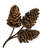 Pinecone Arrangement