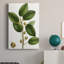 «Cherry Fig Tree», impression sur toile tendue-101023982