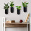 Wall Planter