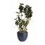 Pot à fleur Dorlis Fiberstone-809609163-881441044
