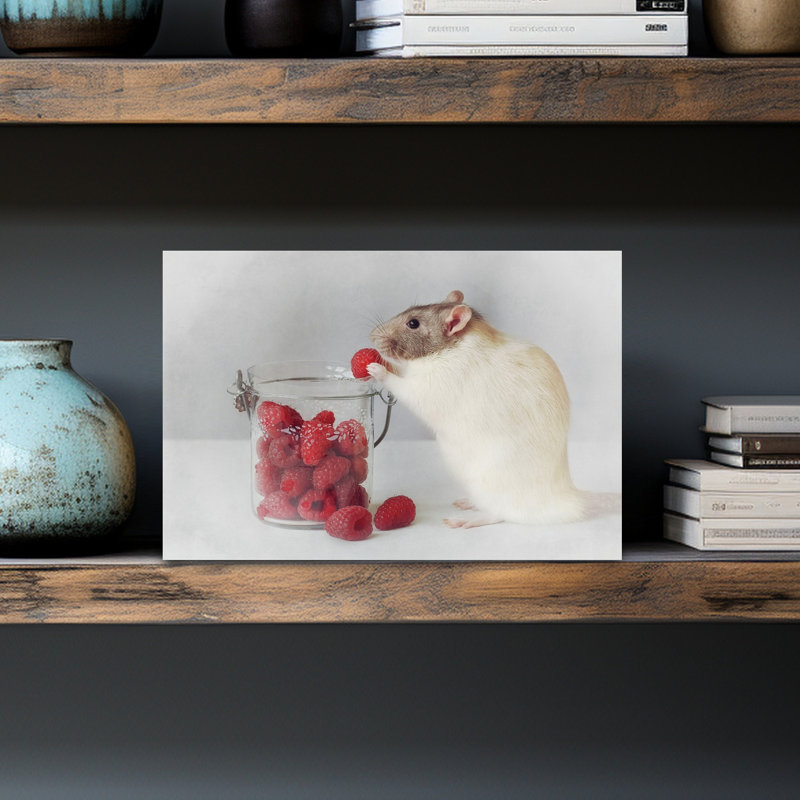 Sweet Raspberry Rat Contemporary Wall Art Print - Print, 30.48cm H x 45.72cm W