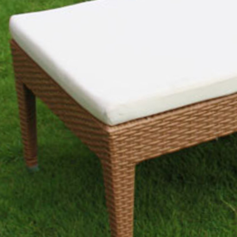 Angellena Outdoor Wicker Chaise Lounge , Cushion Included
