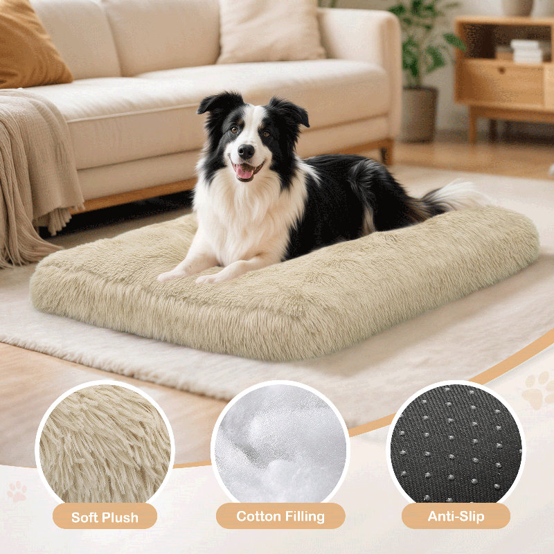 Coussin de siège pour animal de compagnie, Beige, Grand (H 5 po x l 39 po x P 29 po)