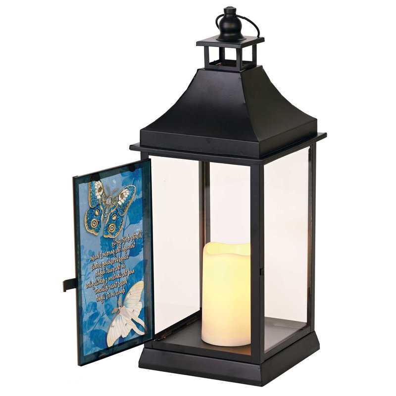 Large Outdoor Lantern Moths Drift Softly