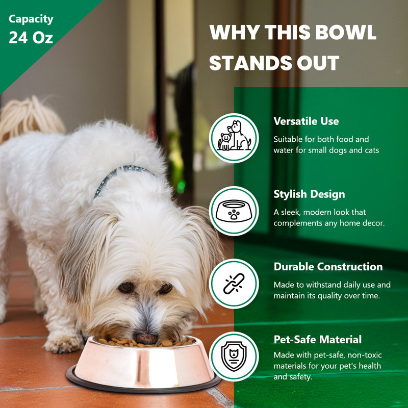 Stainless Steel Non-Skid Pet Bowl Set with Rubber Base
