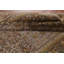 Tapis traditionnel mauve clair 6 x 9