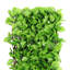 Zakare 90cm H x 180cm W Expanding Trellis-313624194