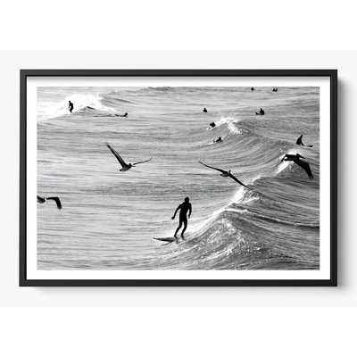 «Surfing With The Free»