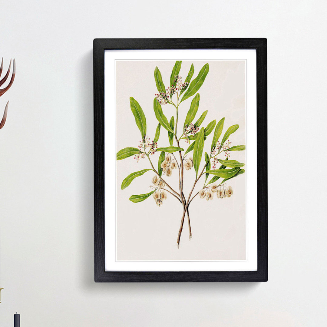 Akeake Flowers by Sarah Featon - Single Picture Frame Painting