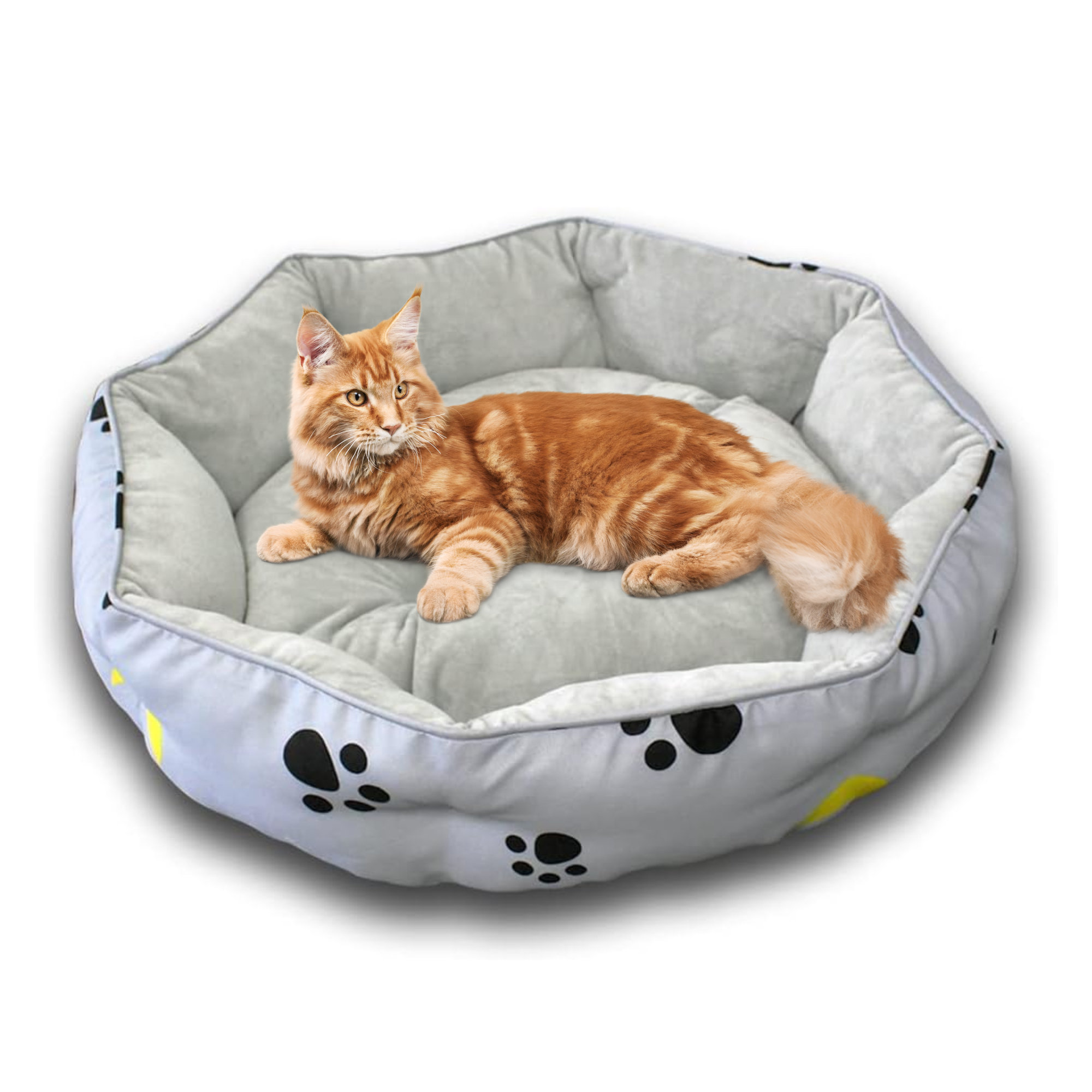 Tucker Murphy Pet™ Erieanna Cotton Bolster Pet Bed | Wayfair