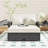 PE Rattan Double Chaise Lounge with Adjustable Backrest, Footrest and Comfortable Cushion-965410282-965410285