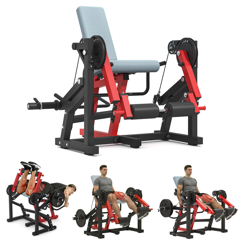 Leg Extension And Curl Lower Body Workout Machine