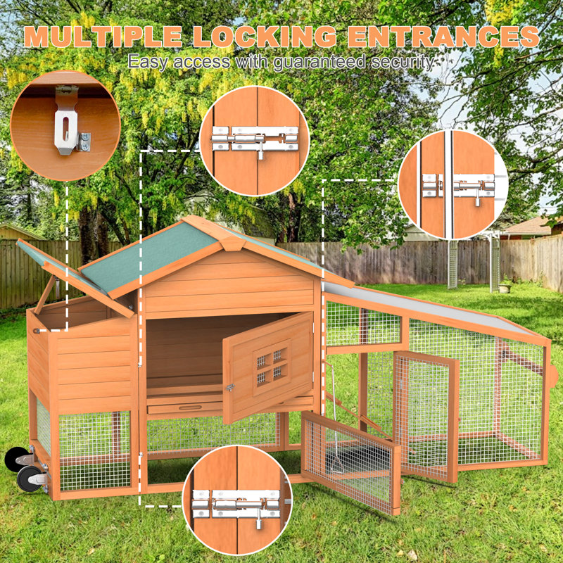 Cage à poules mobile avec roulettes