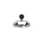 Whistling Kettle-1919580385-1985251165