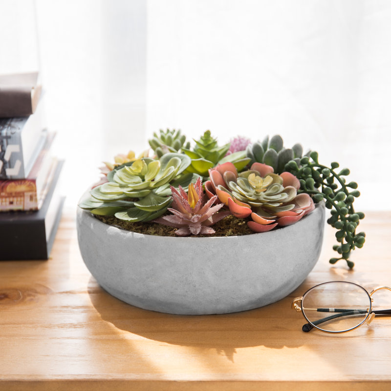 Plante grasse artificielle en pot 4,8 po