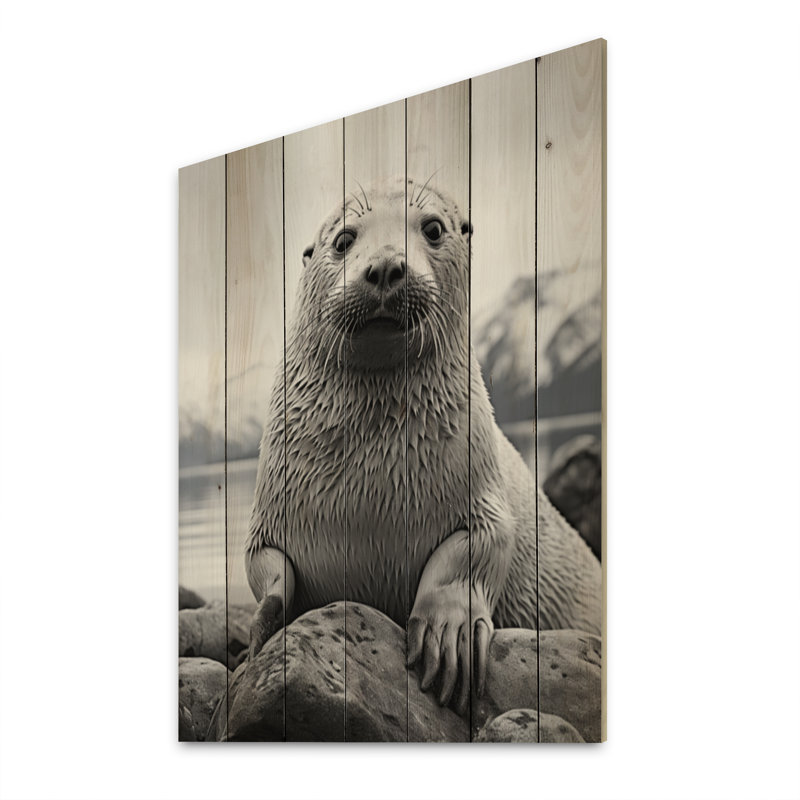 Sceau arctique de l'Alaska sur bois, H 40 po x l 30 po x P 0,78 po