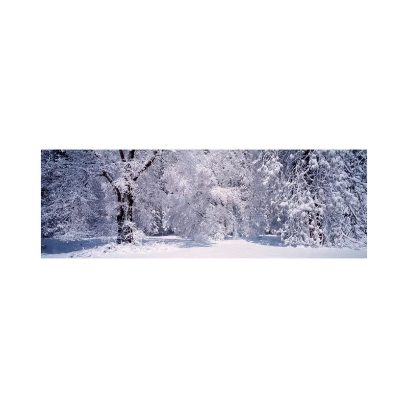 Snowy Winter Landscape, Yosemite National Park, California, USA by Panoramic Images - Wrapped Canvas Panoramic Print