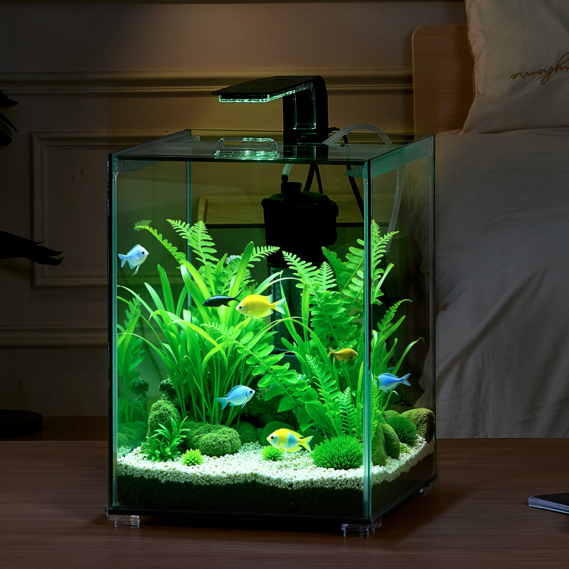 Aquarium aquarium 5 gallons Smart Square