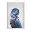 Nature Inspired Black Cockatoo by  - Picture Frame Photograph on Paper-81386676-131284548-131287398