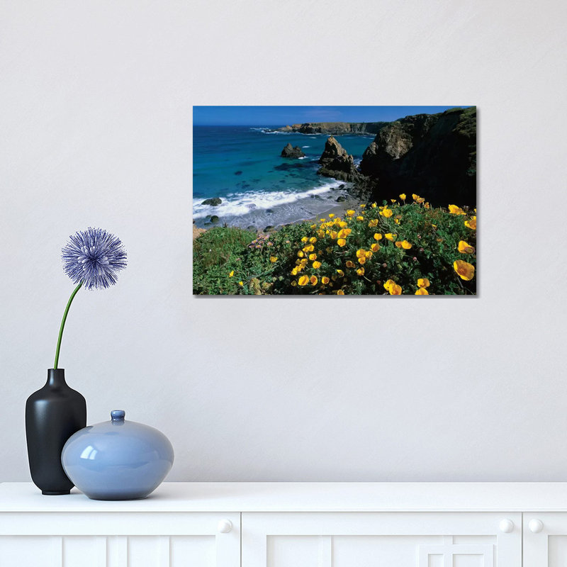 California Poppy Cluster Growing on Coastal Cliff, Jughandle State Reserve, Mendocino County, California 1 Piece Wrapped Canvas Wall Art