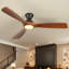 Karlena 52'' Dimmable Ceiling Fan with Lights and Remote Control 3CCT Reversible DC Motor Timer Memory-1157584264