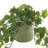 11'' Faux Ivy Plant in Fiberstone Pot