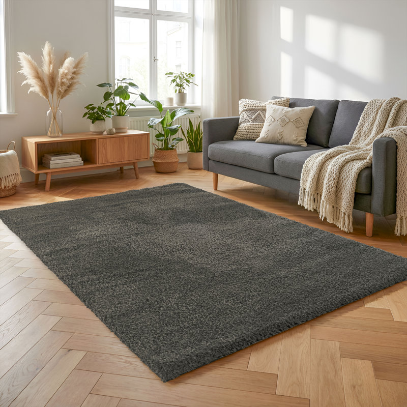 Pure Charcoal &  Solid Shag Modern Rug, Charcoal/, 7'8" x 10'2"