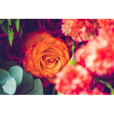 Magnifique bouquet de Knape