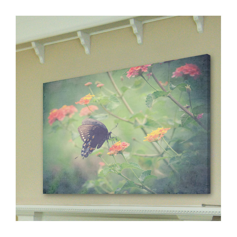 Captivating by Robert Dickinson - Wrapped Canvas Print, 61cm H x 91cm W x 4cm D