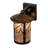 Rustic Lodge Steel Armed Sconce
