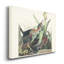 « Pl 333 Green Heron », reproduction d’art sur toile tendue-618974120