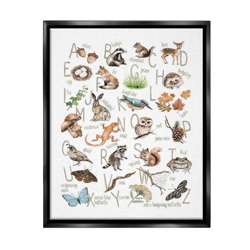 "Woodland Nature Alphabet" par Ziwei Li sur toile, Cadre flottant noir de jais, H 31 po x l 25 po
