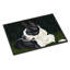 Tapis d'extérieur antidérapant Verdel Boston Terrier Beauty-1815150198
