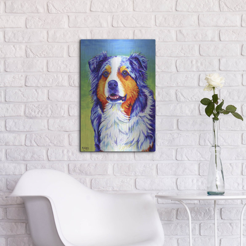 «Blue Merle Australian Shepherd» par Rebecca Wang Art, H 24 po x l 16 po