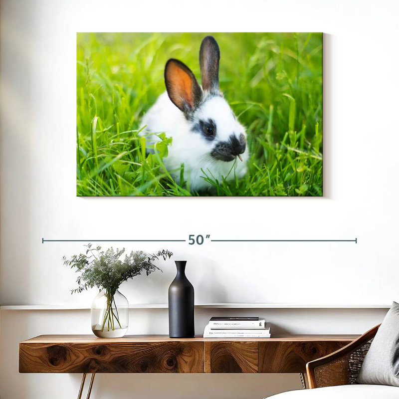 Brampt Grass Munching Rabbit