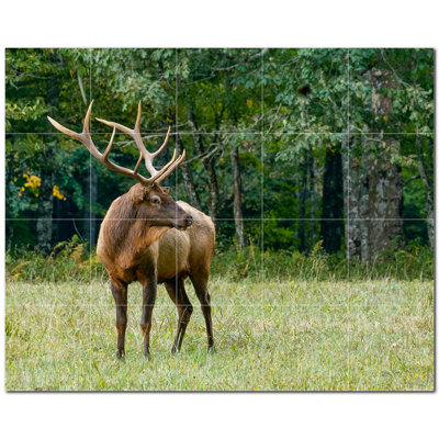 Deer Photo 6'' x 6'' Satin Ceramic Decorative Mural