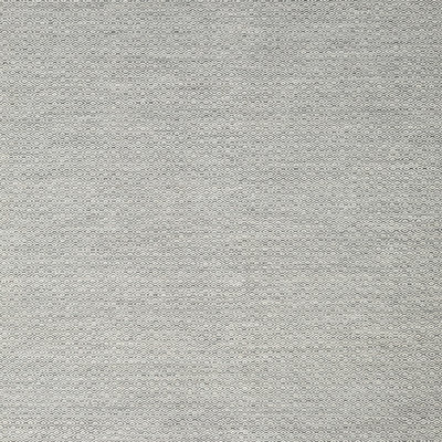 Indoor Rug