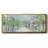 Springtime Stroll- Framed Canvas