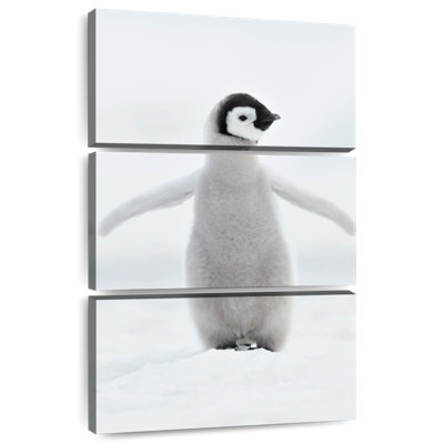 Brampt Lone Emperor Penguin