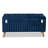 Velvet Ottoman-1630420222