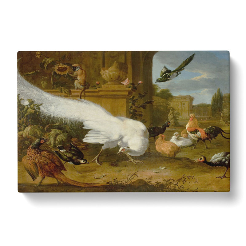 Fowls And A White Peacock by Melchior DHondecoeter - Wrapped Canvas, 50cm H x 76cm W x 3cm D