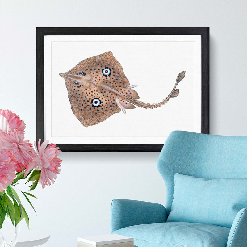 Brown Ray by Edward Donovan - Picture Frame Painting Print, 48cm H x 65cm W x 2cm D, Black Framed