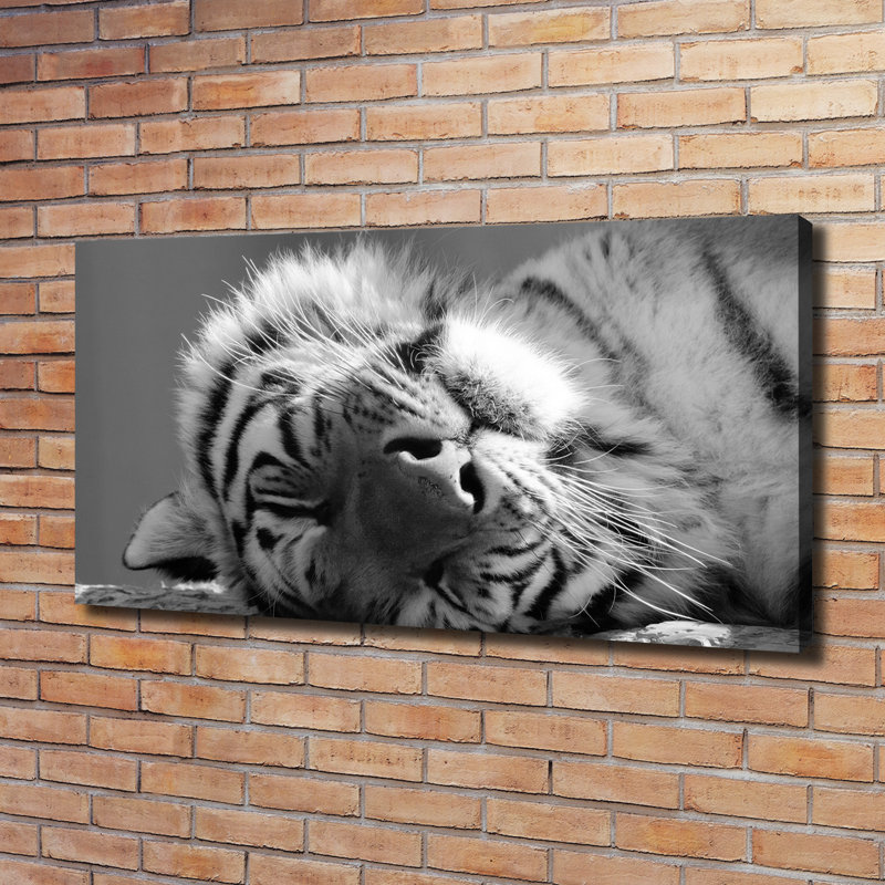 Sleepy Tiger - Wrapped Canvas Print