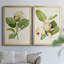 «Magnolia Flowers I», ensemble de 2 reproductions d'art sur toile encadrées-2102747814-2102747810