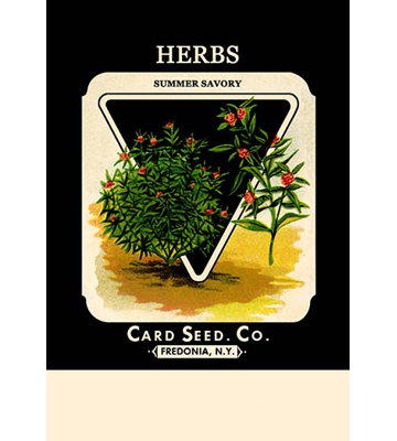 Herbes : affiche rétro savory summer