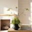 Arrangement organique moderne dans un pot